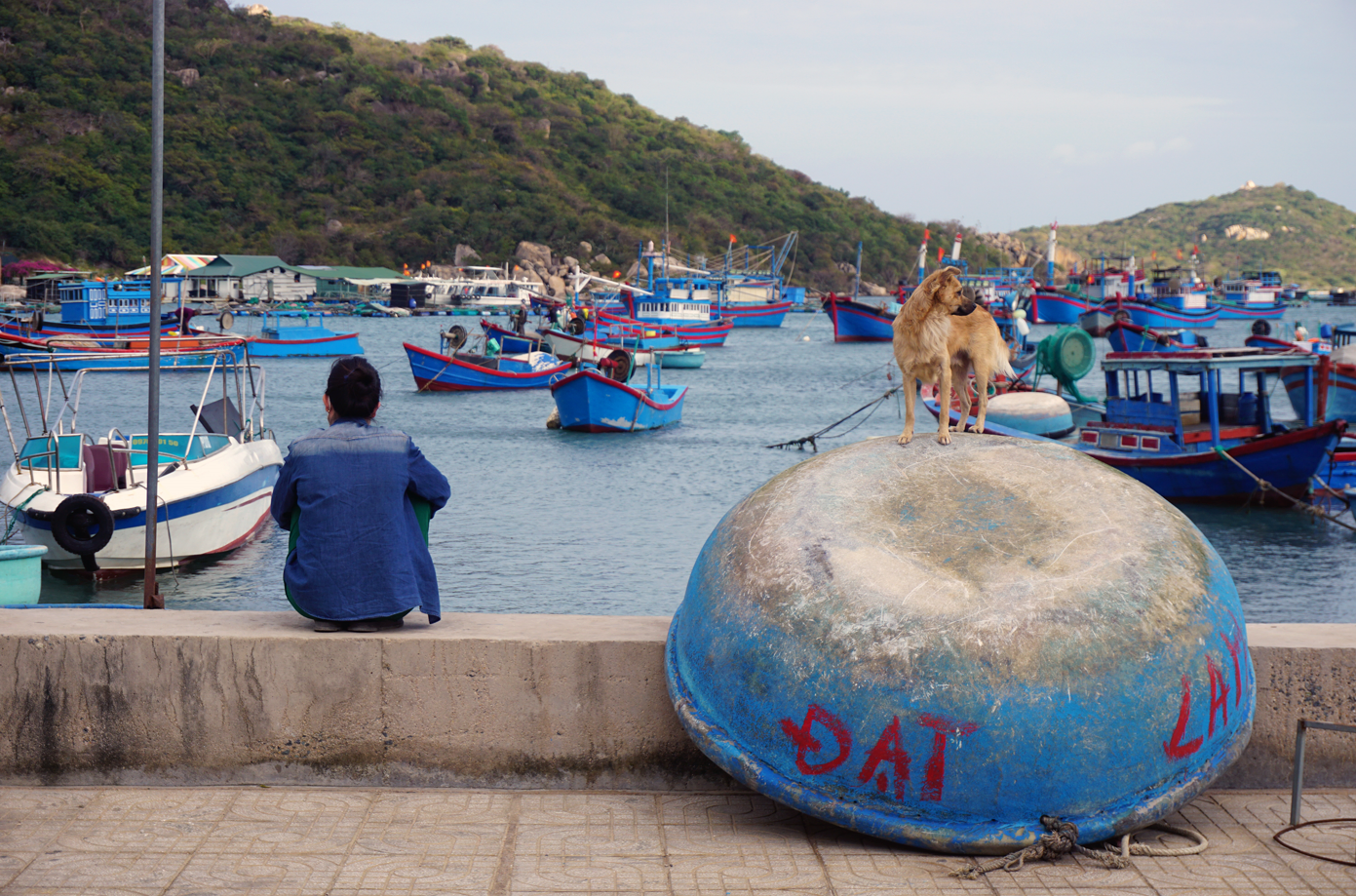 You are currently viewing 🇻🇳 Vietnam’s Central Highlands and the East Sea coast