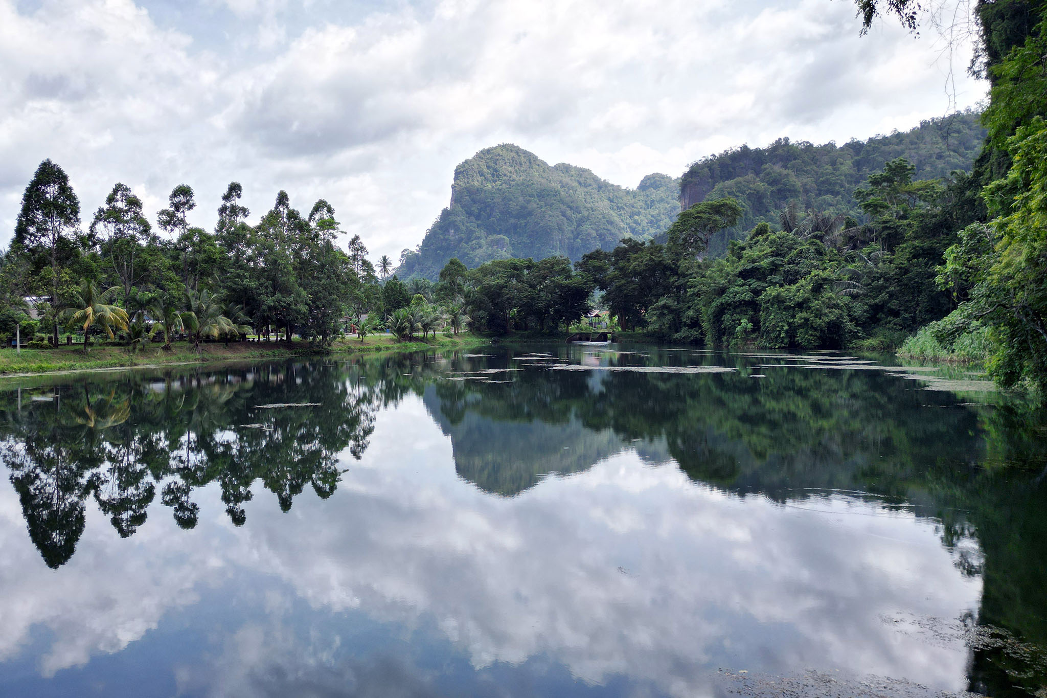 Rohelus ja peegelsile tiik Phang Nga linnas.